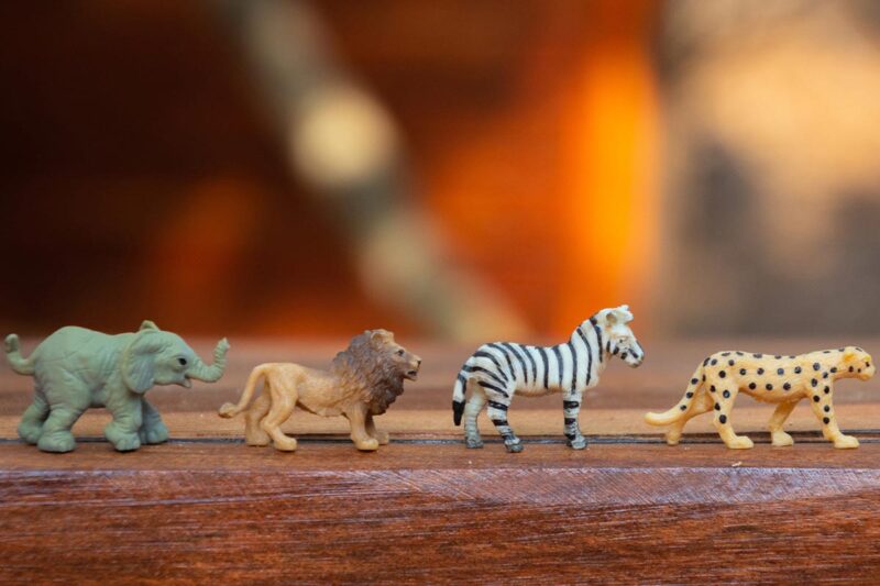 Felipe Sandoval - Para leer - El líder que puede ser