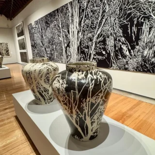 Descubre Atlas de Jan Hendrix en Durango. Entrada gratuita hasta el 15 de agosto en el Palacio del Conde del Valle de Súchil.