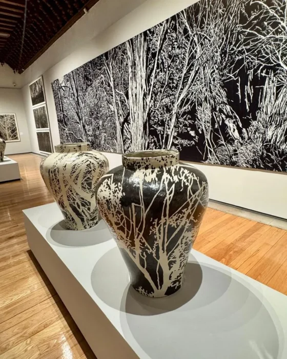 Descubre Atlas de Jan Hendrix en Durango. Entrada gratuita hasta el 15 de agosto en el Palacio del Conde del Valle de Súchil.